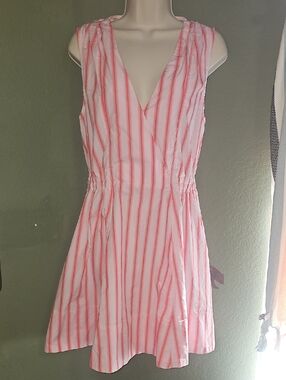10 Crosby Derek Lam Pink and White Striped Dress